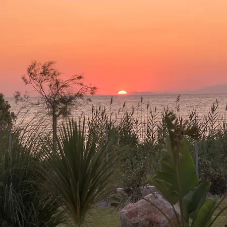 Panaxia Akte 别墅 *